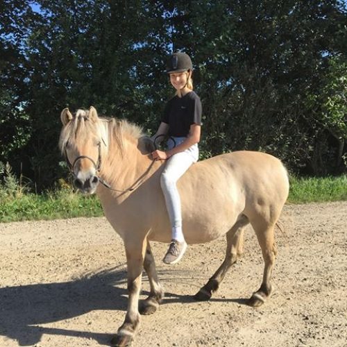 hest